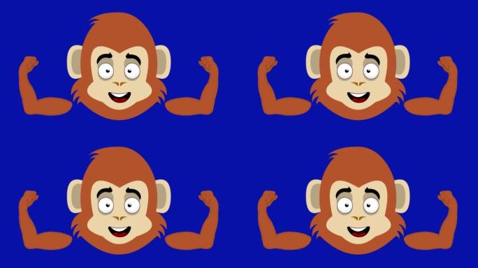 动画循环猴子脸卡通二头肌
