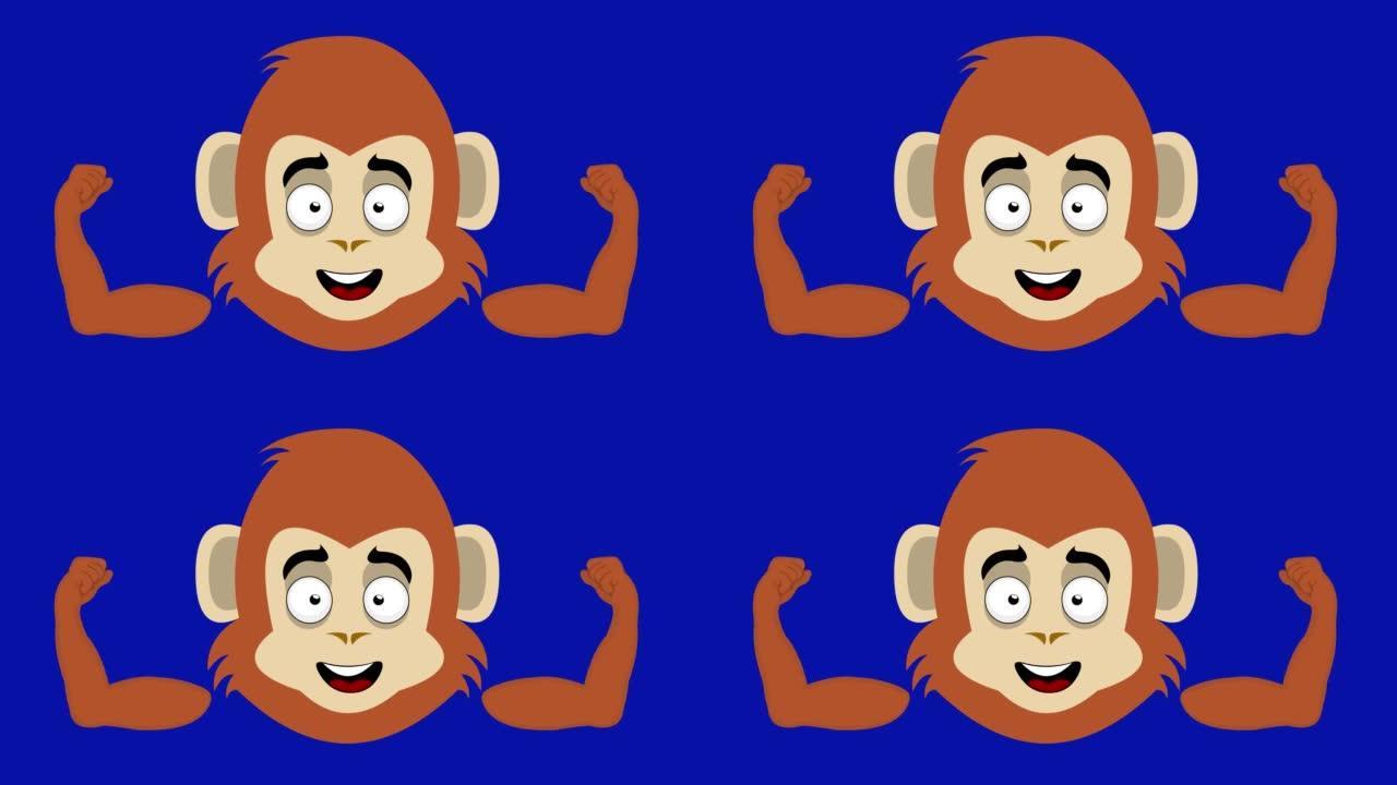 动画循环猴子脸卡通二头肌