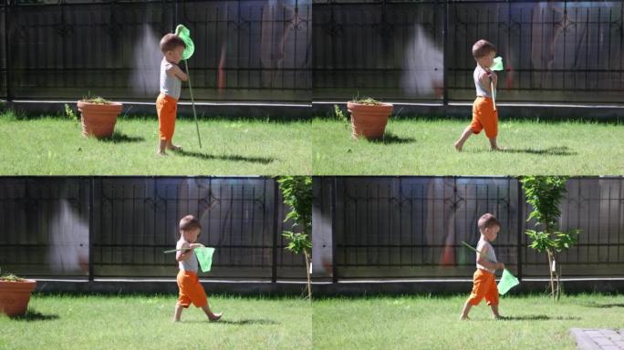 男婴儿童在户外后院散步玩蝴蝶网阳光明媚的日子