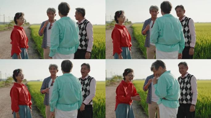 日落时分，亚洲华人资深朋友在稻田旁互相交谈
