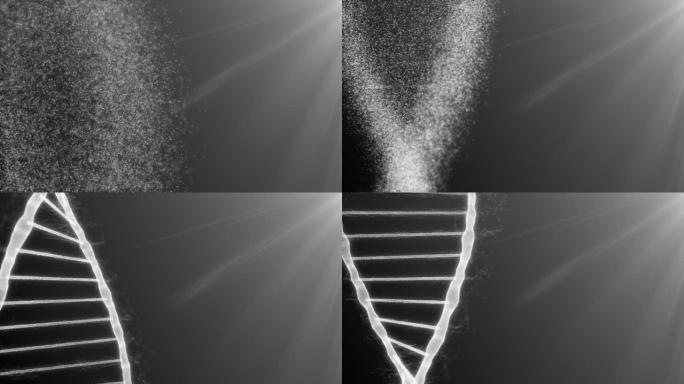 rna分子和基因组编码染色体的dna螺旋的形成和形成