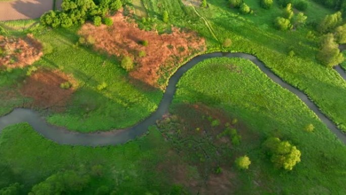 野外河流。绿地中的小河和沼泽中的森林的鸟瞰图。自然资源和生态系统。