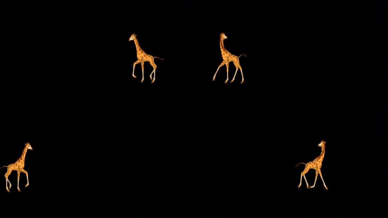 小长颈鹿奔跑，环顾阿尔法哑光极限远射