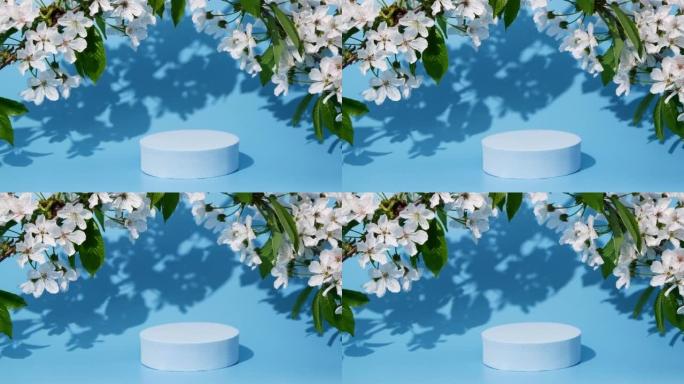 樱花在蓝色背景上开花，树叶阴影，产品设计模型