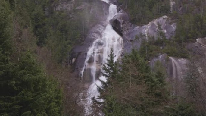 在阴天的冬季，香农瀑布和水从峡谷中冲下。