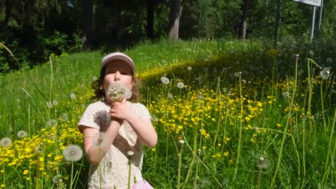 一个女孩，一个6岁的孩子，在一个有蒲公英的草地上，吹着一束蒲公英。