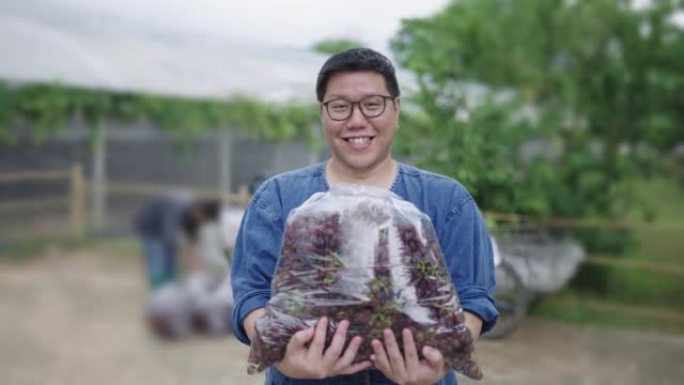 葡萄园主人用两只手拿着装满已收获的成熟红葡萄的大塑料袋，带着灿烂的笑容自豪地向相机展示。