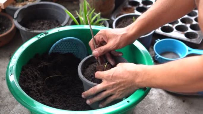 混合土壤并将其放入盆栽中，用于种植树木，幼苗。