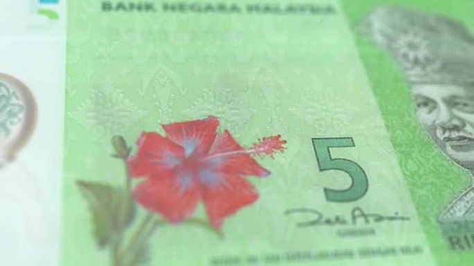 马来西亚5林吉特纸币观察和储备面跟踪多莉拍摄5马来西亚纸币目前5马来西亚林吉特纸币4k分辨率股票视频