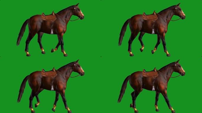 在绿色屏幕上行走的马
