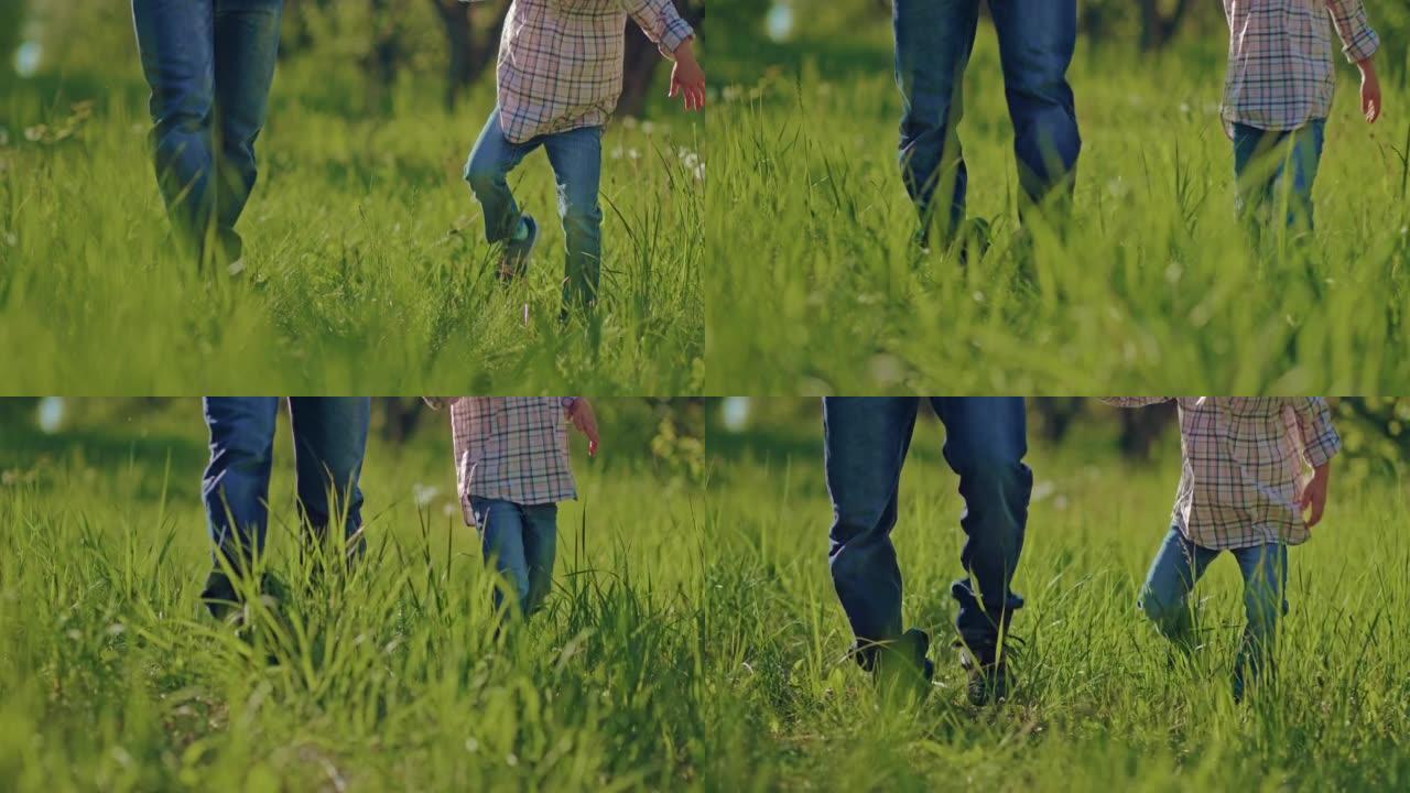 夏天，父亲和小孩一起在绿草地上散步，腿景，4K，Prores