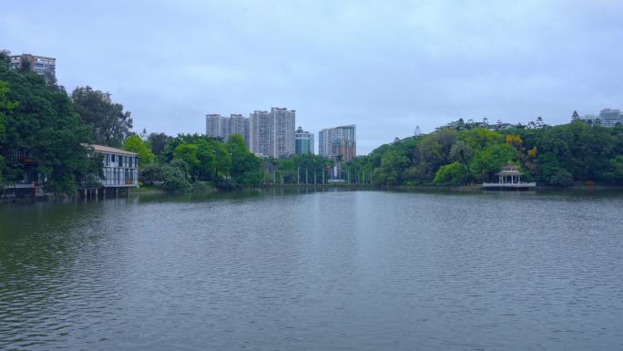 实拍春雨后广州天河公园湖水与树木的倒影
