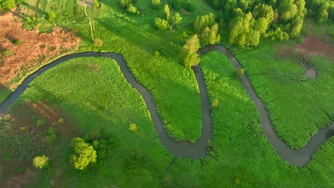 野外河流。绿地中的小河和沼泽中的森林的鸟瞰图。自然资源和生态系统。