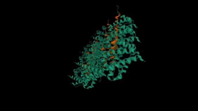 诱导髓系白血病细胞分化蛋白Mcl-1 (绿色) 与骡子 (棕色) 复合。