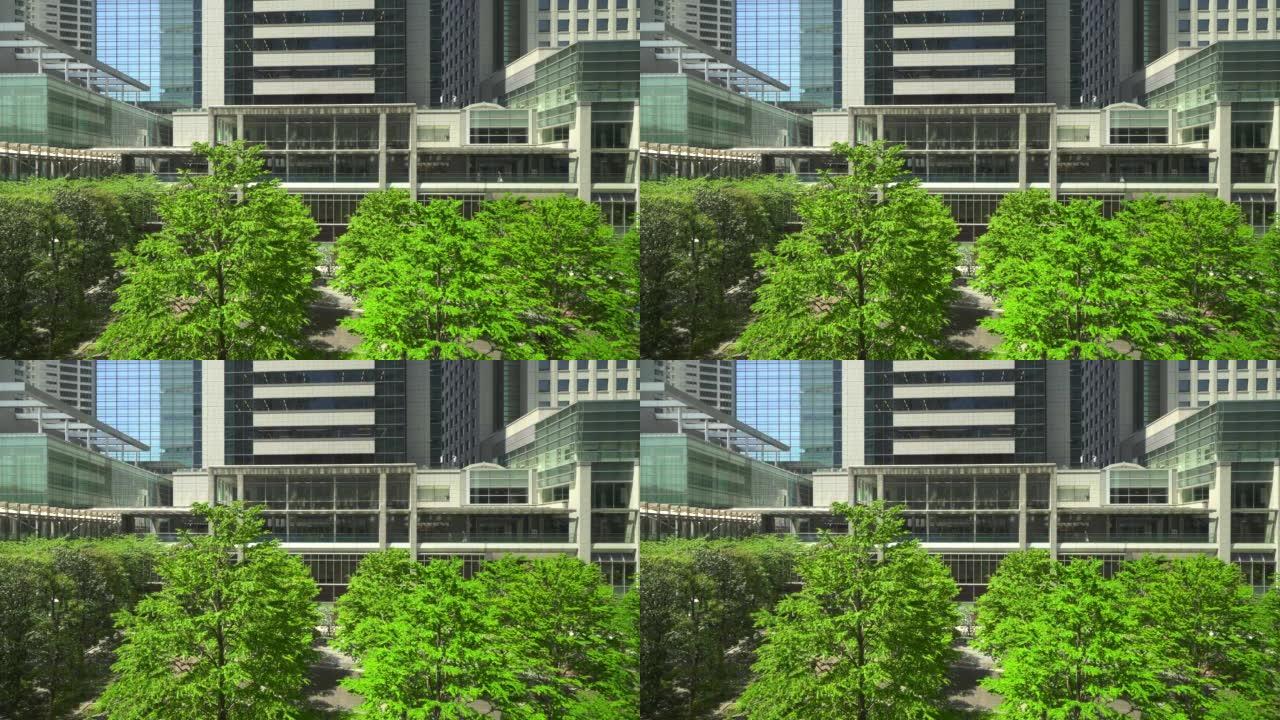 现代化的办公楼和新的绿树