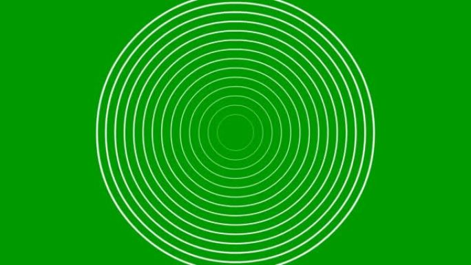 从中心开始动画增加白线圈。矢量插图孤立在绿色背景上。