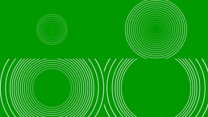 从中心开始动画增加白线圈。矢量插图孤立在绿色背景上。