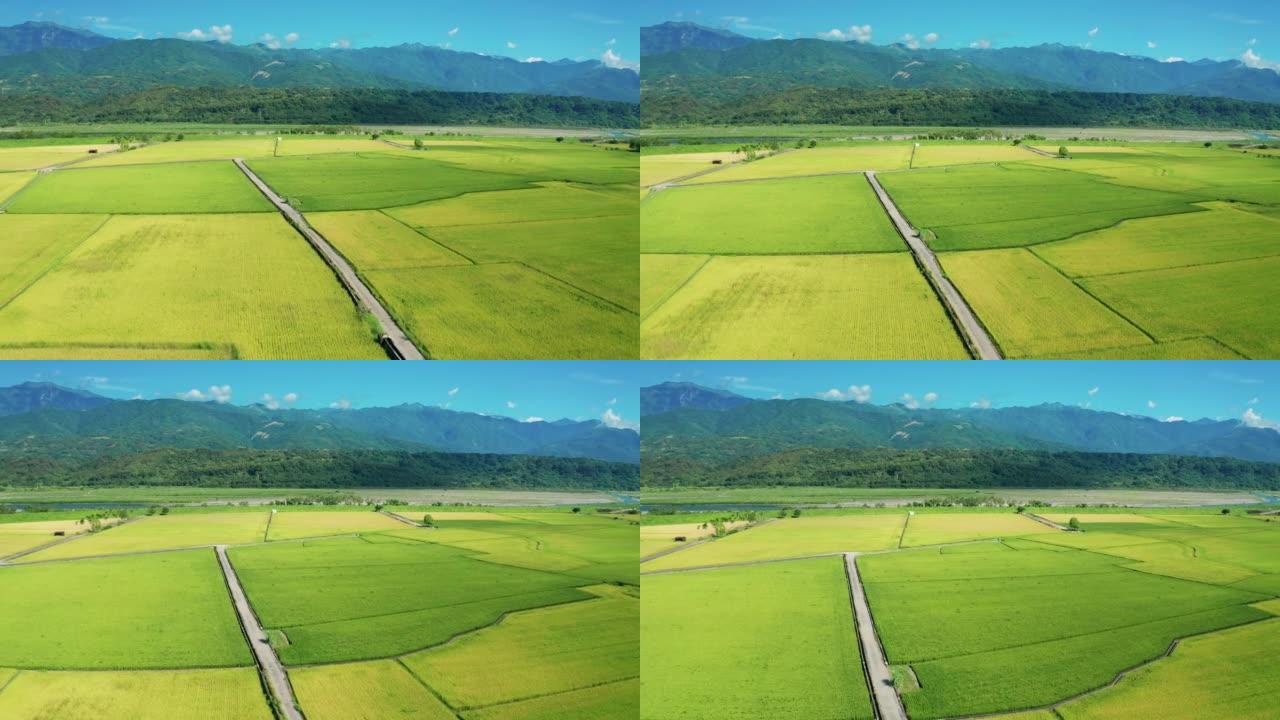 稻田耕作的农业鸟瞰图