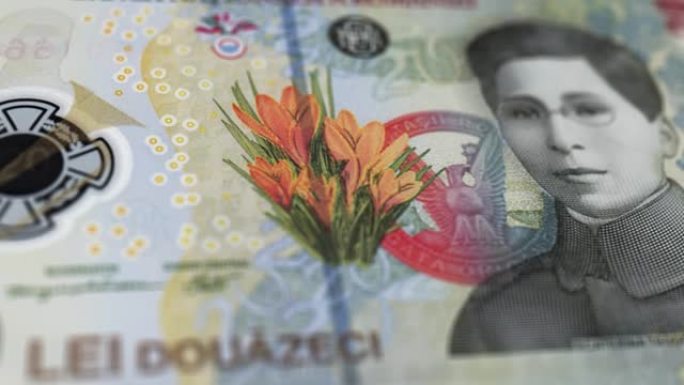 罗马尼亚列伊或雷的纸币观察和储备侧特写跟踪多莉拍摄20罗马尼亚纸币当前20罗马尼亚列伊纸币4k分辨率
