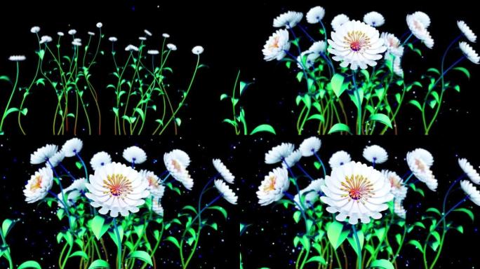 盛开的花朵的4k抽象动画