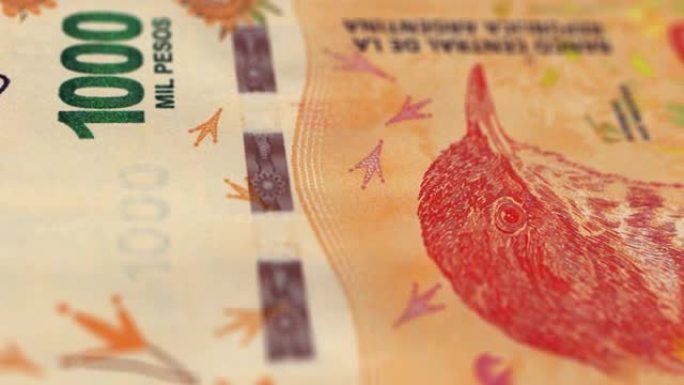 阿根廷1000比索的纸币观察和储备侧特写跟踪多莉镜头-1000阿根廷比索纸币当前纸币4k分辨率股票视