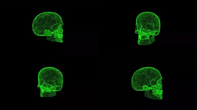 3D人类头骨在黑色背景上旋转。物体溶解绿色闪烁粒子60 FPS。科学概念。标题、演示文稿的抽象bg。