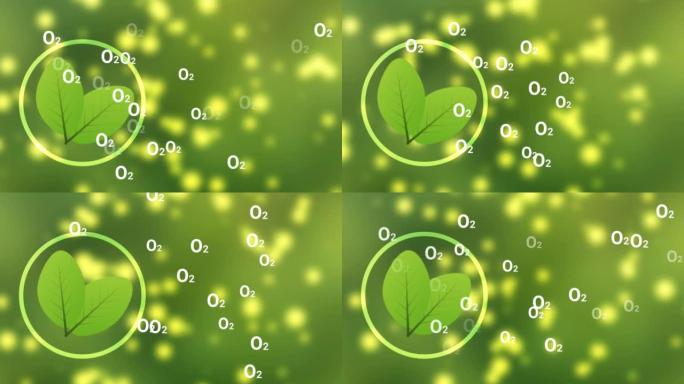 在模糊的绿色背景上实现带有明亮圆圈的氧气动画素材剪辑。节约环境、植树、全球变暖和自然生活方式。