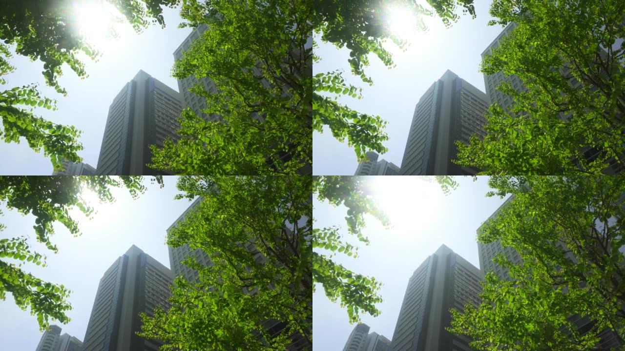 透过清新的绿树可见的现代化办公楼