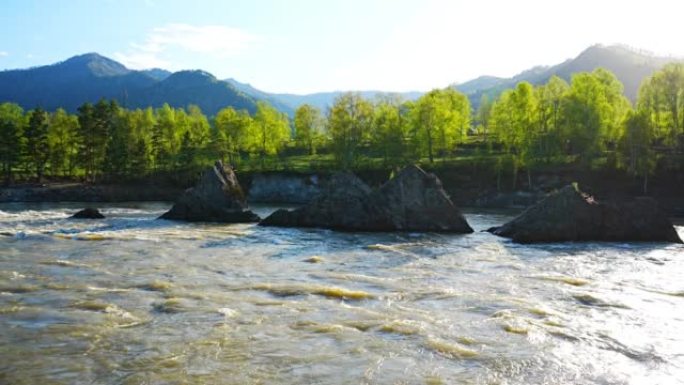 显著的自然物体-龙齿-在阿尔泰山脉的卡顿河，背景是美丽的针叶林地区，西伯利亚，俄罗斯