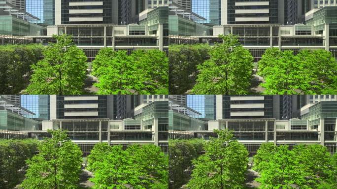现代化的办公楼和新的绿树