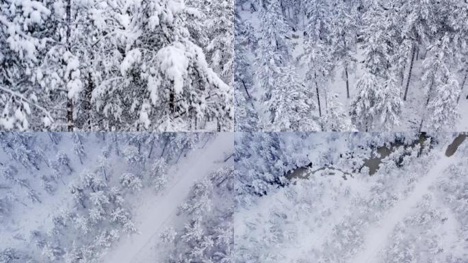 从冬季北部森林缓慢飞起来，那里被许多新鲜的雪覆盖。在树上关闭视图，然后在飞行时向下