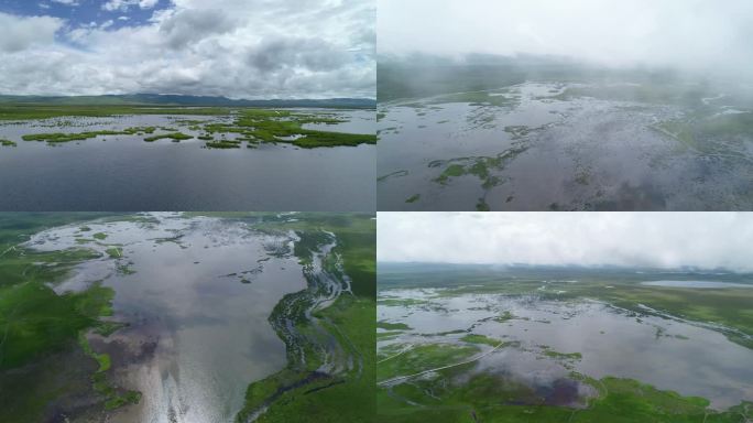 若尔盖晴天花湖湿地航拍