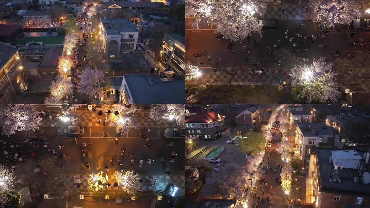 4K天津五大道海棠花节夜景航拍