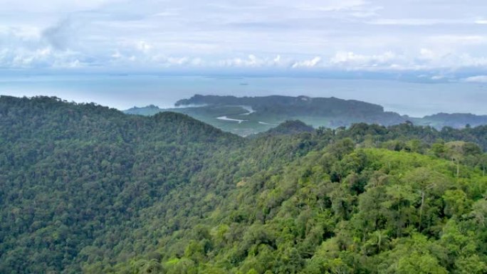 马来西亚，浮罗交怡岛。无人机飞越Gunung Raya山，朝红树林北部飞行。