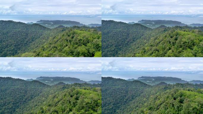 马来西亚，浮罗交怡岛。无人机飞越Gunung Raya山，朝红树林北部飞行。