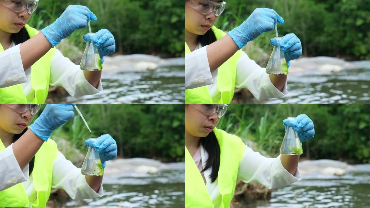 戴着手套的女性环保主义者会抽取河水样本进行检查和测试是否感染。女研究员调查自然水体中的污染物。水与生