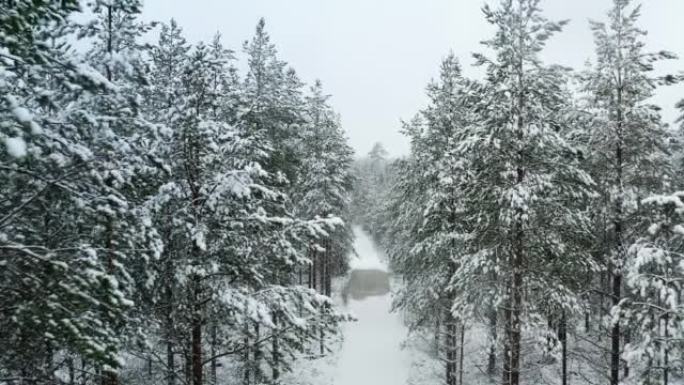 在瑞典北部，飞越小路上方积雪覆盖的森林，然后飞越冬季景观的航拍画面