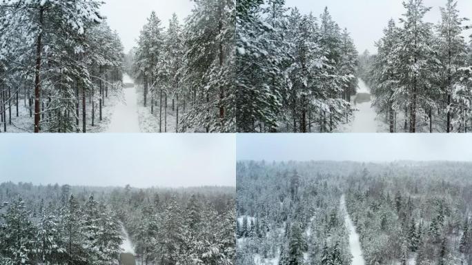 在瑞典北部，飞越小路上方积雪覆盖的森林，然后飞越冬季景观的航拍画面