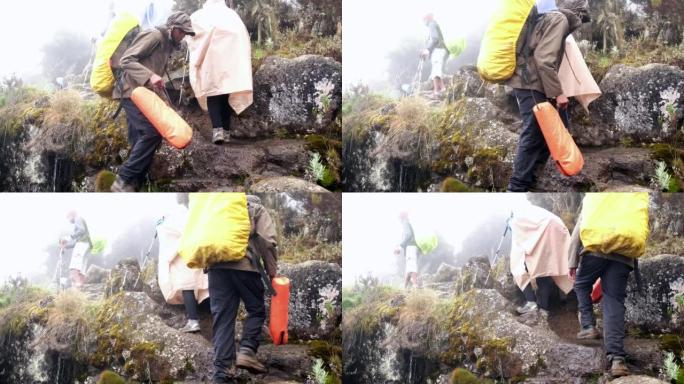 徒步旅行者带着背包和登山杖行走，同时在雾中徒步穿越乞力马扎罗山