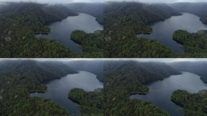 森林面积和湖泊