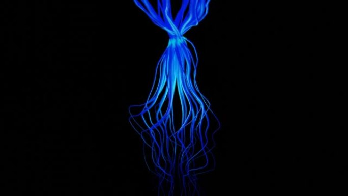 一种未知生物的抽象蓝色触手。设计。水下游泳动物与蓝色触角隔离在黑色背景。