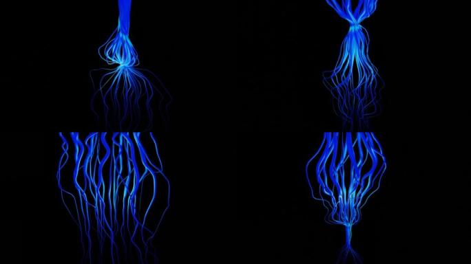 一种未知生物的抽象蓝色触手。设计。水下游泳动物与蓝色触角隔离在黑色背景。