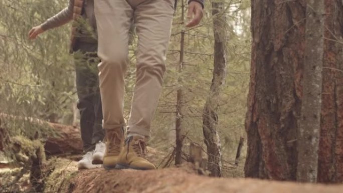 Active Couple Hiking in Forest