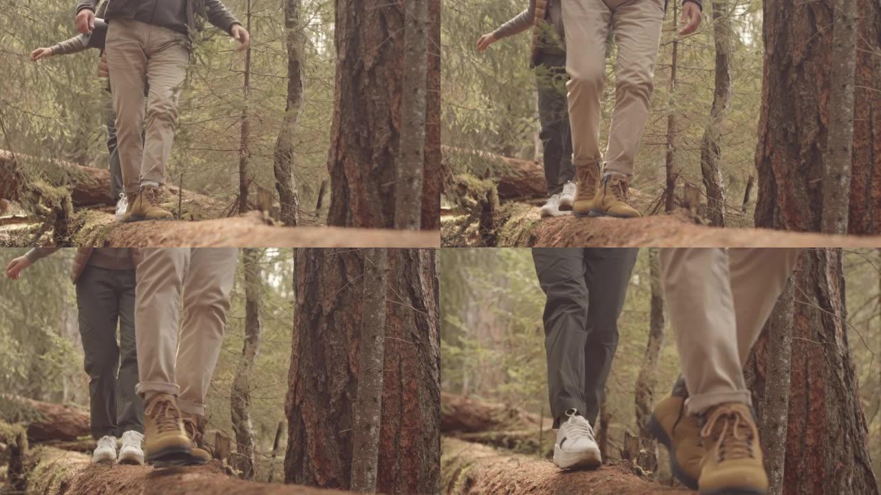 Active Couple Hiking in Forest