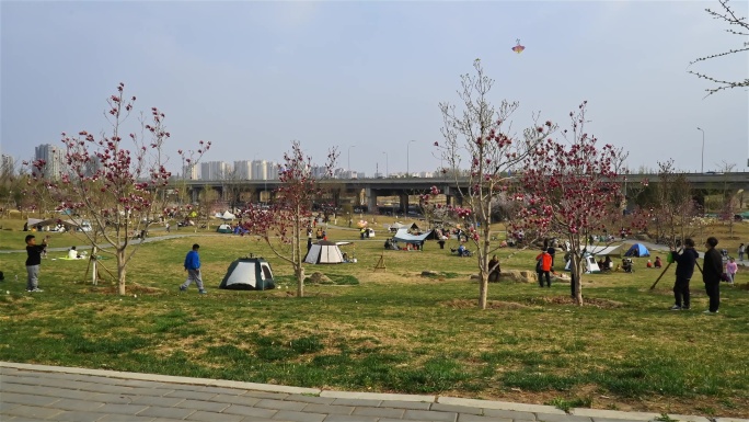 延时摄影北京公园露营下午惬意春天