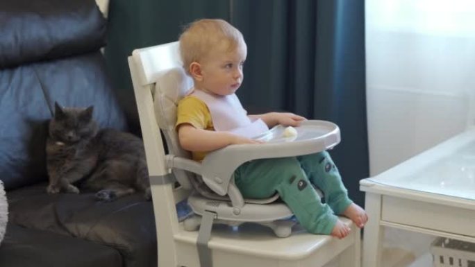 儿童和猫在家庭中和平共处，一岁的婴儿坐在加高座椅上，喂食托盘固定在餐椅上。