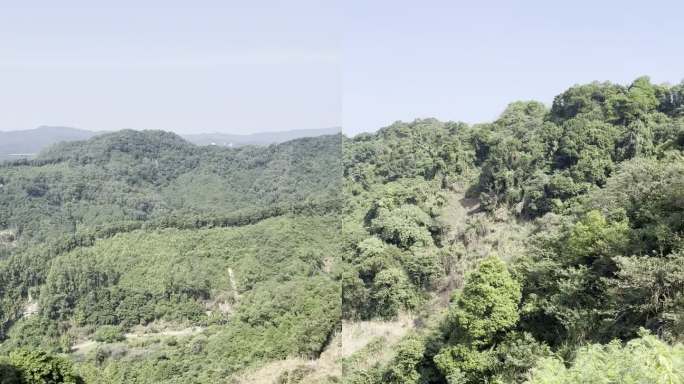 大山远景拍摄树林森林爬山
