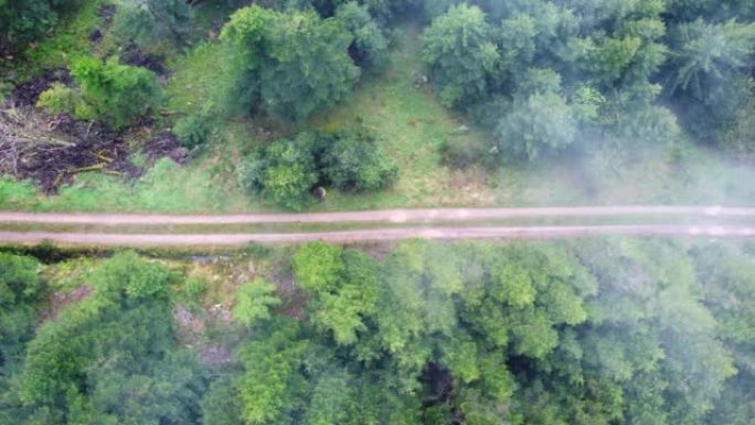 法国孚日快速移动云的泥泞森林山路空中俯视图4K