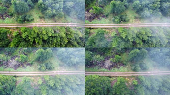法国孚日快速移动云的泥泞森林山路空中俯视图4K