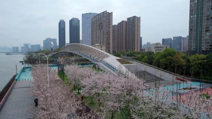杭州 江边樱花跑道 滨江公园漫步桥
